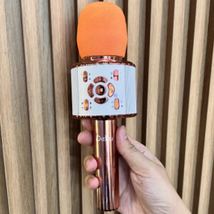 Mic hát Karaoke kèm Loa hãng DEKU D6 - phân khúc bình dân